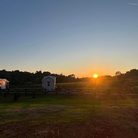 Luxury Riverfront Tiny House- Amazing Views- #111 Strawberry Plains Luaran gambar